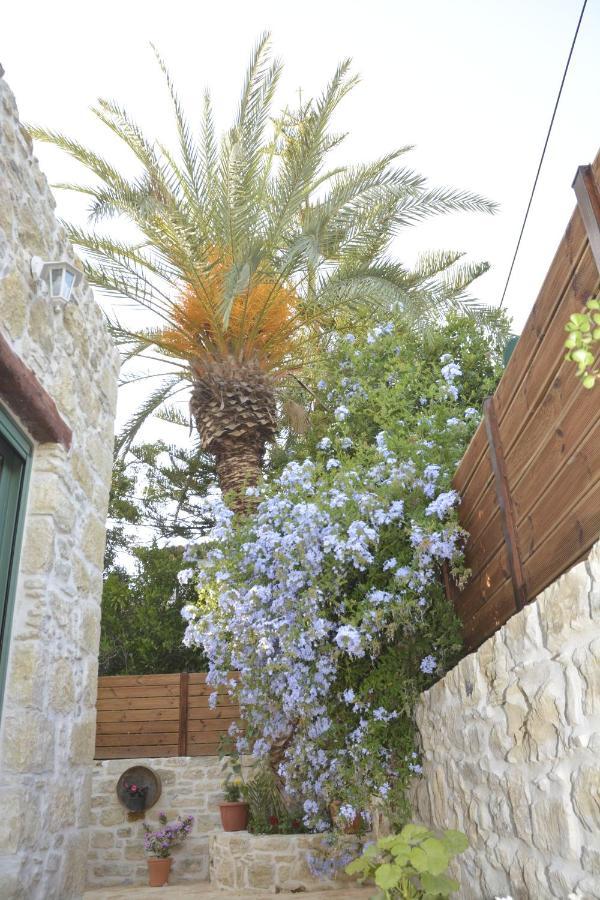 Joakim'S Villa Πιτσίδια Εξωτερικό φωτογραφία
